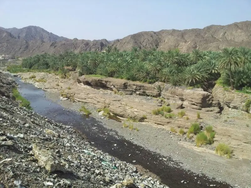 وادي دماء
