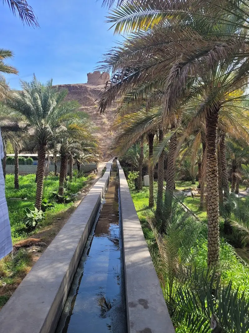 فلج الفيقين