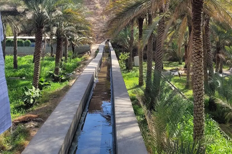 فلج الخطمين