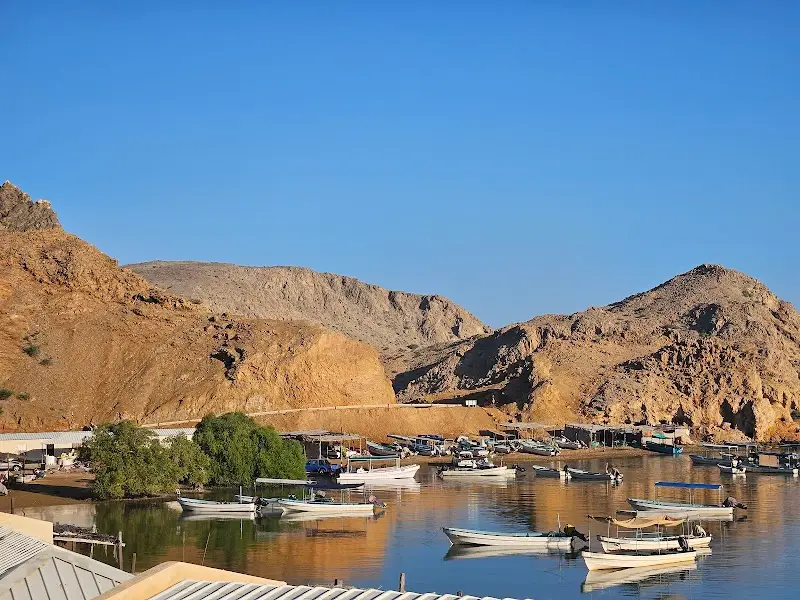 شاطىء ظهر قينة
