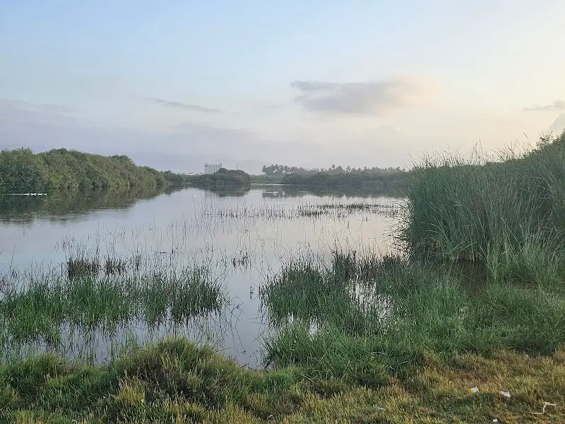 خور عوقد