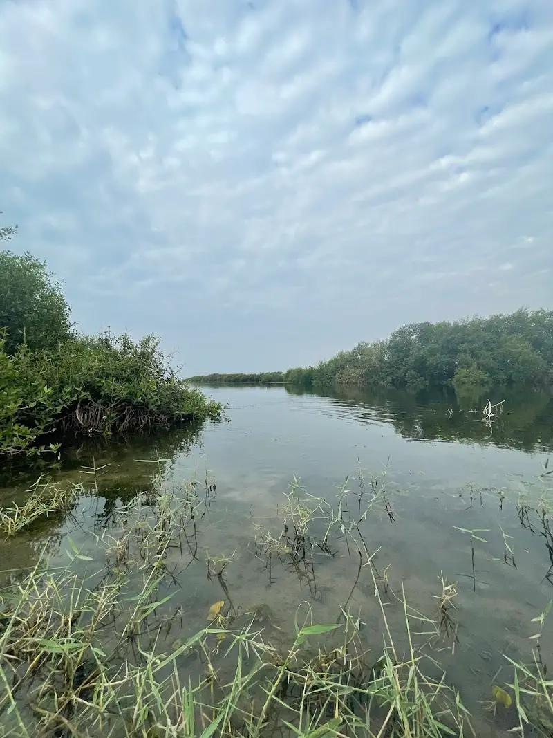 محمية خور القرم الكبير